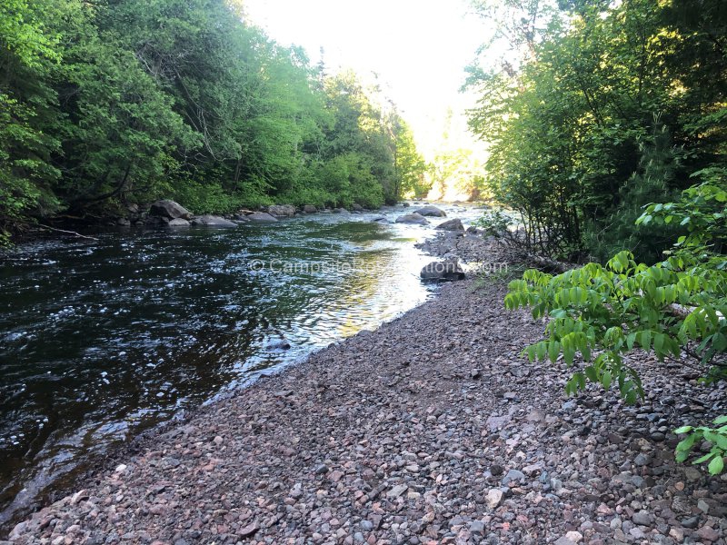 Photo of Campsite 14 in H. Crosby Manitou State Park Campground at H. Crosby